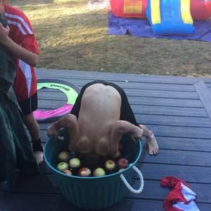 Meet your Posher, Brita